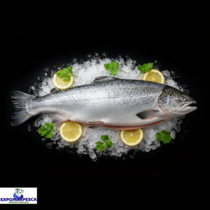 Salmón